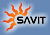 SAVIT - SEO Company India